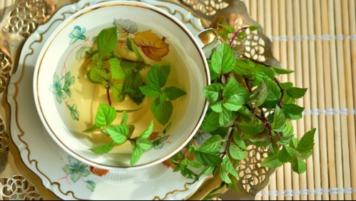 Antioxidante y ayuda a bajar de peso: Conoce todos los beneficios del té verde