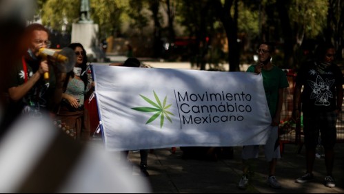 Diputados mexicanos aprueban consumo recreativo de marihuana en el país