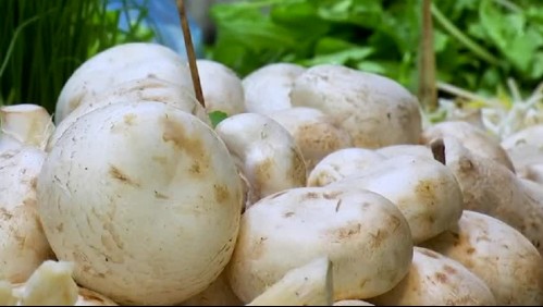 Súperalimentos: Los beneficios que tienen los champiñones para el organismo