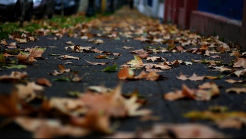 Se acaba el verano: revisa cuándo empieza el otoño 2021 en Chile