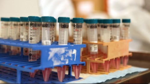 Detectan en Francia una nueva variante de coronavirus: Es más difícil de detectar