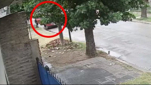 Profesora muere arrollada por chofer de aplicación que evitó asalto: hijo presenció el accidente