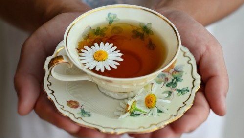 Ayuda a controlar la diabetes: Mira los beneficios de la infusión de manzanilla