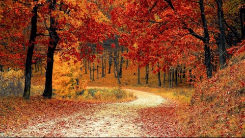 Equinoccio de otoño: Conoce la hora y fecha exacta en que comienza la nueva estación