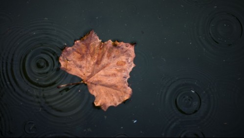 Adiós verano: Este sábado se dio inicio oficialmente al otoño en nuestro país