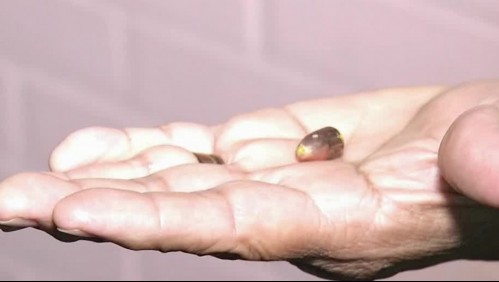 'Si esta bala pasa, me mata': Vecinos de Quilicura viven atemorizados entre balas locas