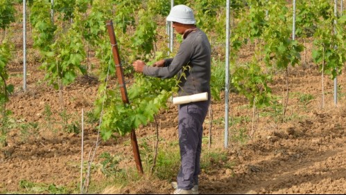Chile y UE apoyan recuperación de sectores productivos de la macroregión centro-sur