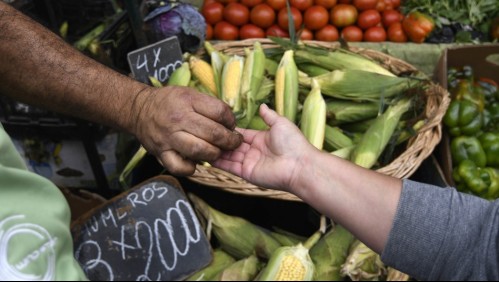 Feriantes contra funcionamiento con delivery: Parando un fin de semana no bajan los contagios