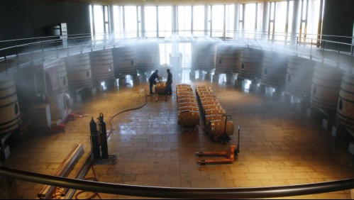 Trabajo soñado: Ofrecen 10 mil dólares al mes, 30 cajas de vino y casa gratis