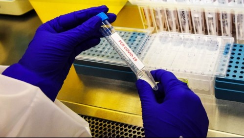 Conoce las cinco variantes de coronavirus que han llegado a Chile