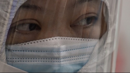 ¿Un animal? ¿Fuga de laboratorio? Las cuatro teorías en juego sobre el origen del Covid-19