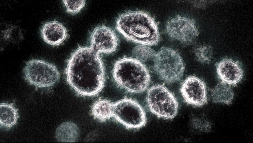 Nuevas variantes de coronavirus: Todo lo que debes saber de ellas y cuáles están en Chile