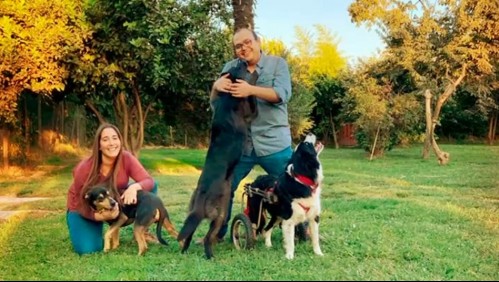 Joven médico fallecido por coronavirus había renunciado a la paternidad para cuidar a sus perros