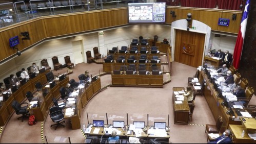 Postergación de elecciones: Senado aprueba en general el proyecto