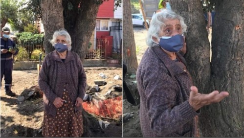 Adulta mayor se aferra a árbol para evitar que sea talado en Talcahuano