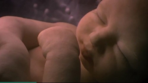 Baja tasa de natalidad: La legitima opción de no querer ser mamá