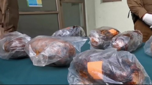 Narcotráfico en Chile: Banda envolvía marihuana con manjar para ocultar olor
