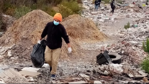 Macabro maltrato animal: Perro es quemado y ahorcado en un árbol en Quillota
