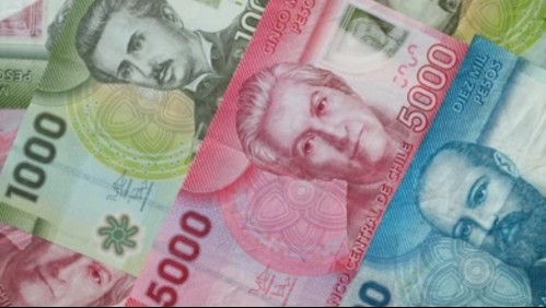 Buscador de beneficios: Conoce todas las ayudas estatales que puedes recibir