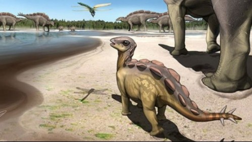 Huella de dinosaurio del tamaño de un gato es descubierta en China