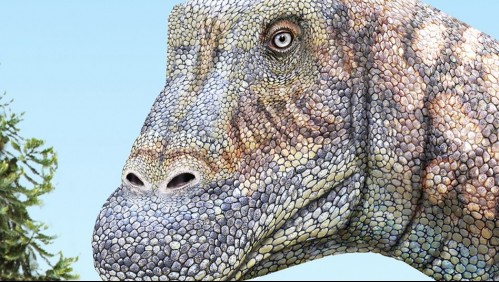 Chile presenta el 'Arackar licanantay', un dinosaurio del desierto de Atacama