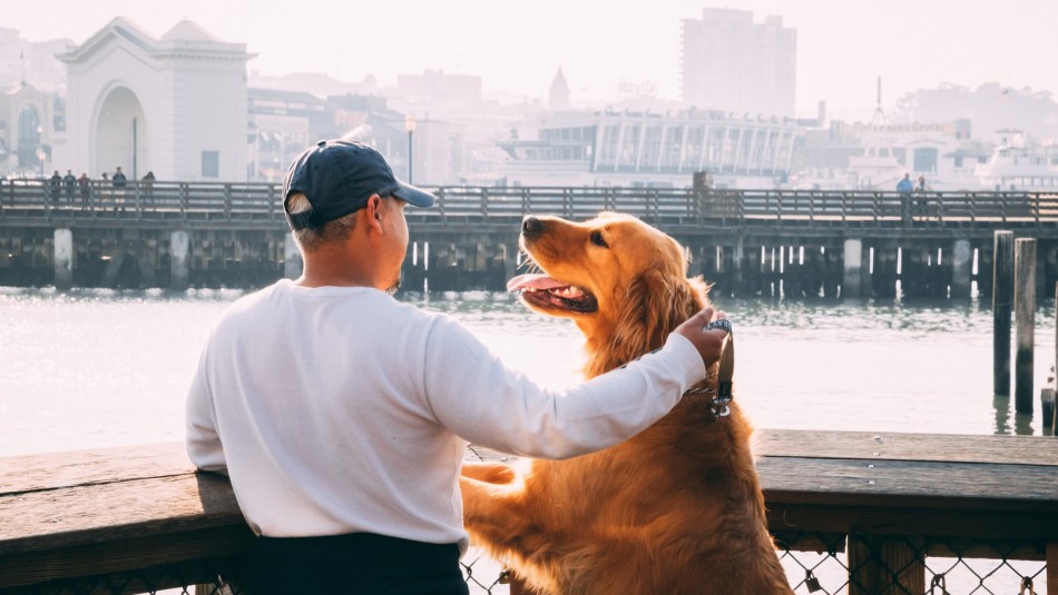 ¿Sabías que tu perro siente celos cuando te ve con otros animales?