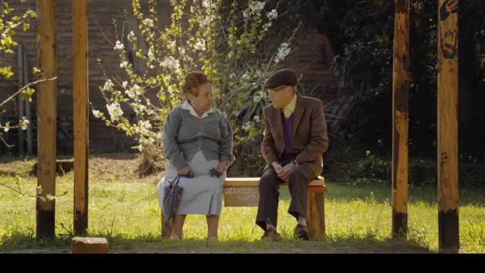 El sorprendente pasado televisivo de Bertita, la enamorada de don Sergio en El sorprendente pasado televisivo de Bertita, la enamorada de don Sergio en