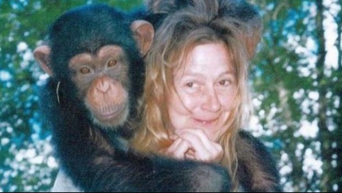 El desesperado llamado por ataque de chimpancé que arrancó rostro a mujer