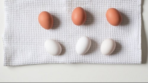 Blancos o de color: Cómo elegir el mejor huevo para tu comida