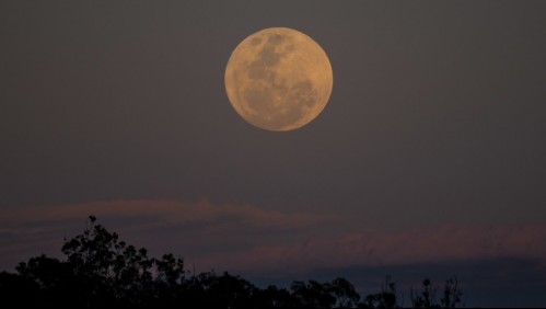 Superluna rosa: ¿Cuándo y cómo se puede ver?