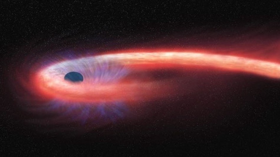 Captan por primera vez la silueta de una estrella Captan por primera vez la silueta de una estrella