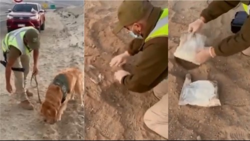Enterraron droga para burlar control, pero labor de perro adiestrado hizo que los detuvieran