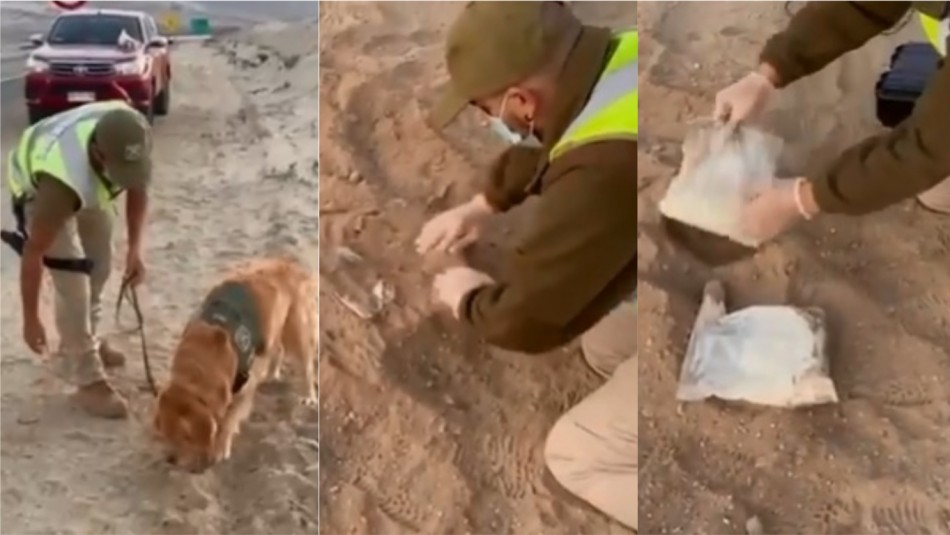 individuos-enterraron-droga-en-plena-via-publica Enterraron droga para burlar control, pero labor de perro adiestrado hizo que los detuvieran