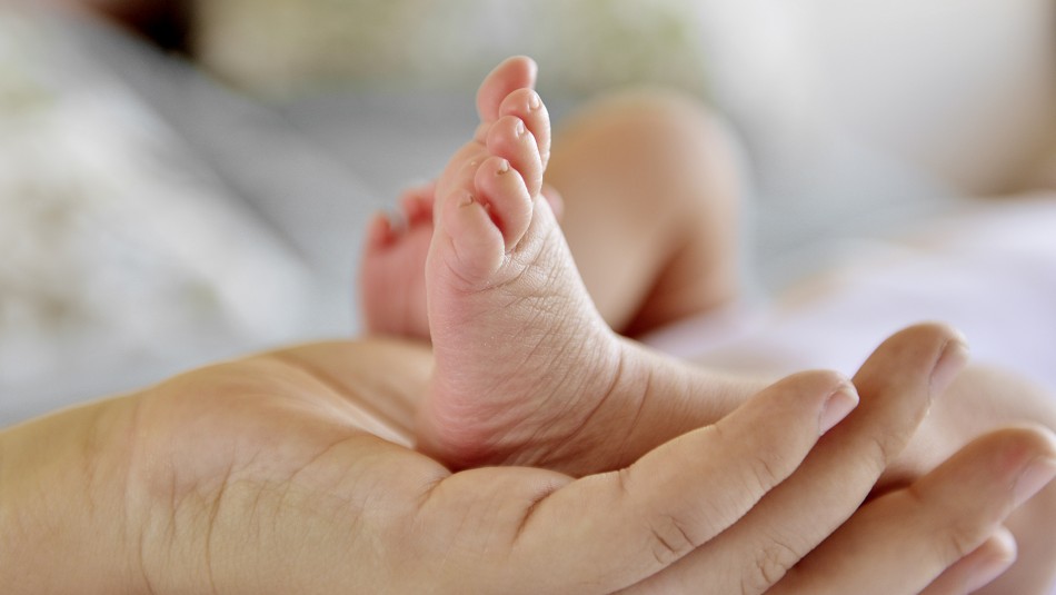 Programa de Apoyo al Recién Nacido: Conoce cómo recibir el ajuar para tu bebé Programa de Apoyo al Recién Nacido: Conoce cómo recibir el ajuar para tu bebé