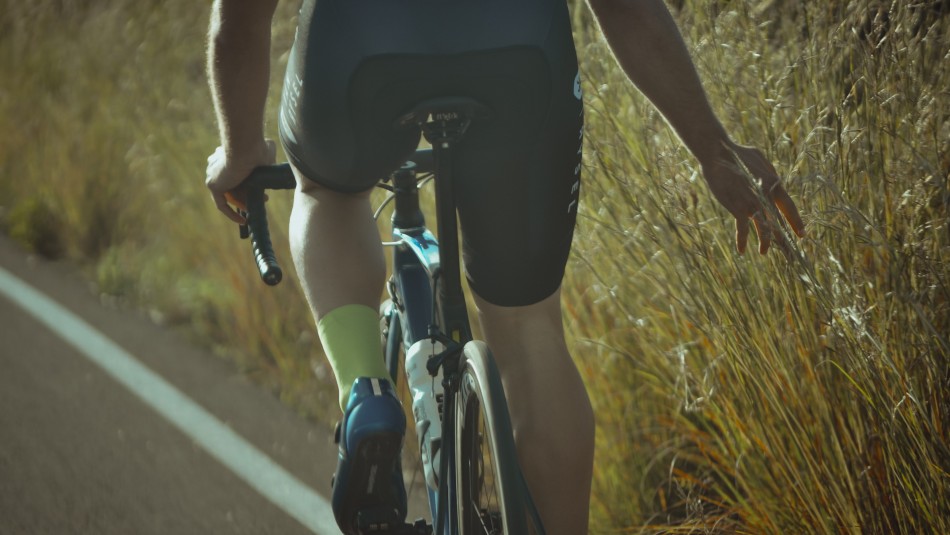 Hombre paseaba en bicicleta, se tragó una abeja y terminó muerto: Lo picó en la garganta Hombre paseaba en bicicleta, se tragó una abeja y terminó muerto: Lo picó en la garganta