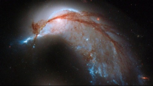 'Pingüino galáctico': captan galaxia con forma de ave cuidando su huevo