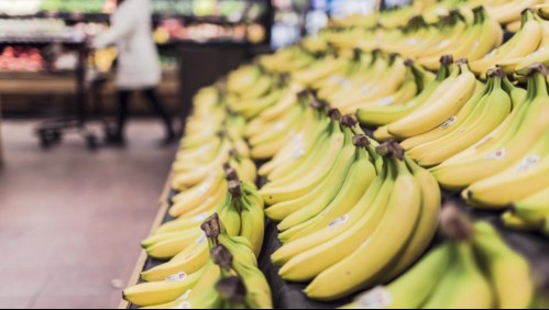 Plátano: 5 beneficios para tu salud que no conocías