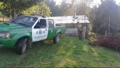 Mujer confiesa que mató a su pareja tras golpearlo en la cabeza con una copa de vino