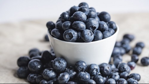 Más que un antioxidante: Conoce 4 beneficios de consumir arándanos todos los días