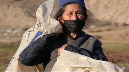 Indignante: Le roban carro a mujer recicladora en Coquimbo y ahora trabaja con sacos al hombro