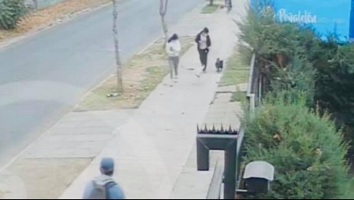 Detienen a conductor que se fugó tras atropellar y dar muerte a niño que paseaba a su perro