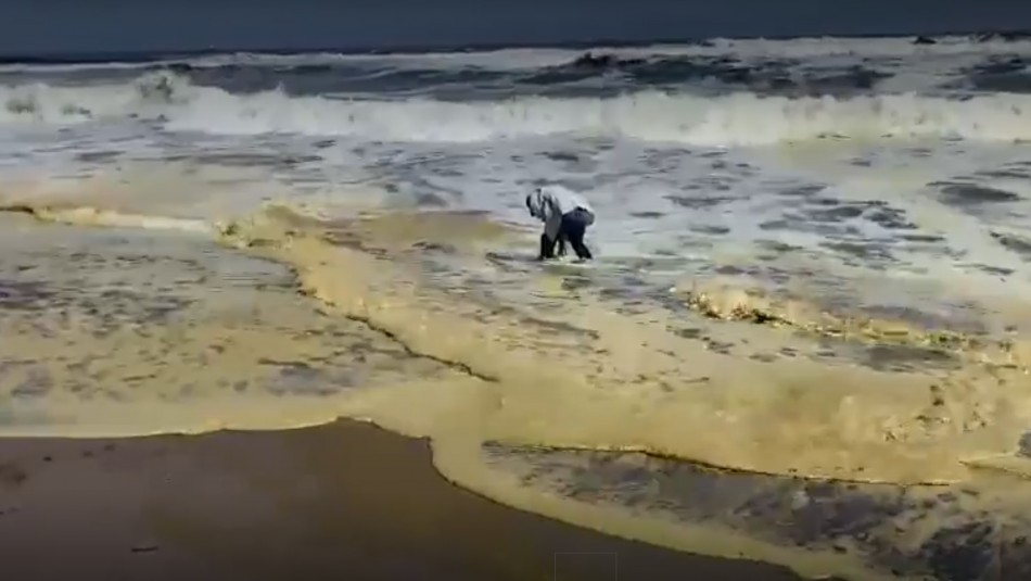 arica Denuncian posible contaminación en playa de Arica.