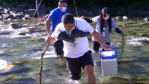 Vacunación extrema: Equipos de salud llevan proceso de inoculación a zonas aisladas del país