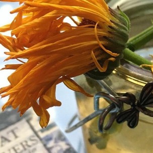 ¿Qué significa tener flores marchitas guardadas?: Averigua cómo afecta tu bienestar ¿Qué significa tener flores marchitas guardadas?: Averigua cómo afecta tu bienestar