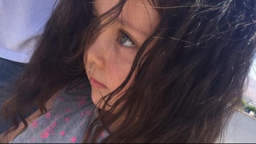 Arma que habría dado muerte a Tamara Moya estaba en manos de banda que asaltó el Alto Las Condes