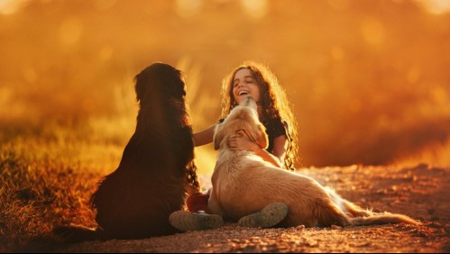 Perros y familia: Las 8 mejores razas para niños