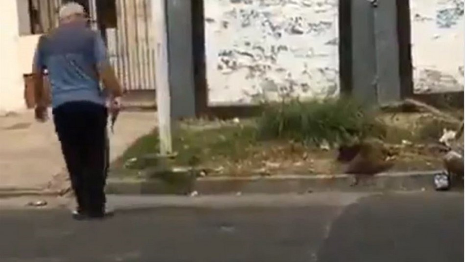Hombre mata a perro callejero de un disparo en Argentina: Vecinos realizaron protestas Hombre mata a perro callejero de un disparo en Argentina: Vecinos realizaron protestas