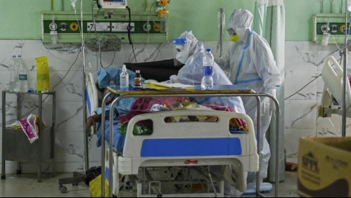 Hongo Negro: La infección micótica ligada al Covid que mata al 50% de quienes la padecen