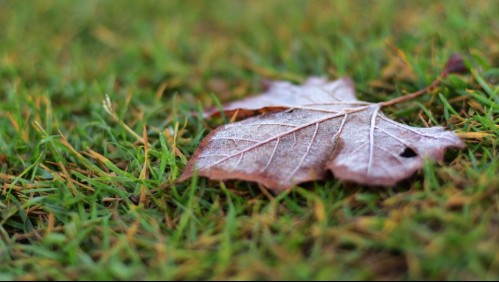 Sigue el frío: Se esperan bajas temperaturas para la mañana de este domingo en Santiago