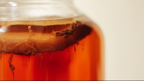 Kombucha en época de frío: ¿Qué cambia según la estación?